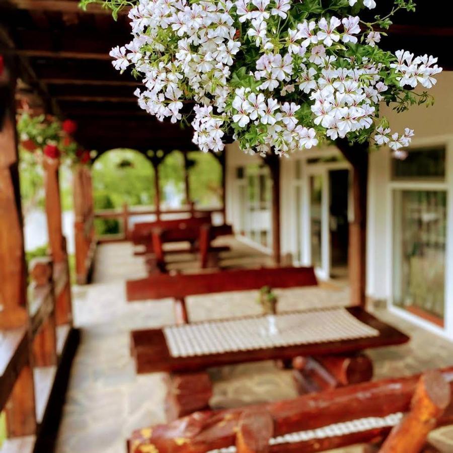 Pastravaria Alina Sirbi Exterior photo